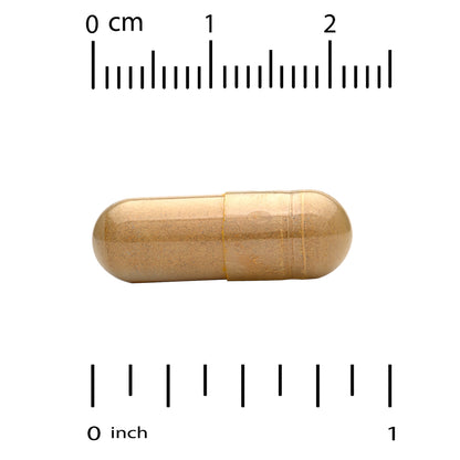 California Gold Nutrition, Silymarin Complex with Milk Thistle Extract Plus Dandelion, Artichoke, Ginger, and BioPerine®, 360 Veggie Capsules