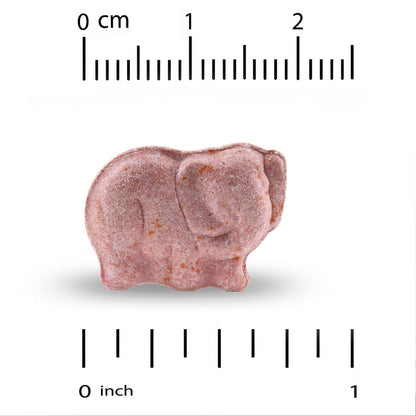 California Gold Nutrition, Chewable Multivitamins with Probiotics, Enzymes, Vitamin A and Vitamin C for Children, Assorted Fruit, 120 Vegetarian Tablets