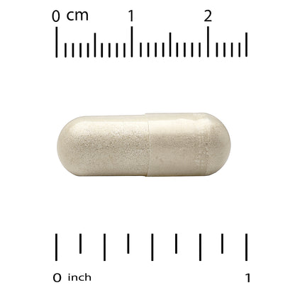 California Gold Nutrition, Think Support, with Ginkgo Biloba, Skullcap, Gotu Kola, Bacopa and Enzymes, 60 Veggie Capsules