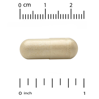 Super Nutrition, Super Immune+ Multivitamin with Super Adaptogens, Vitamin C, Vitamin D, Zinc, and Beta Glucan, 240 Veggie Capsules