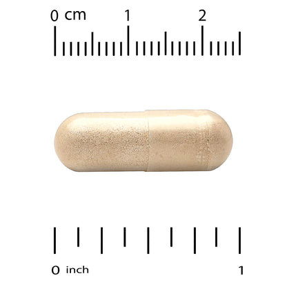 California Gold Nutrition, EuroHerbs®, Echinacea Herb Extract, 80 mg, 60 Veggie Capsules